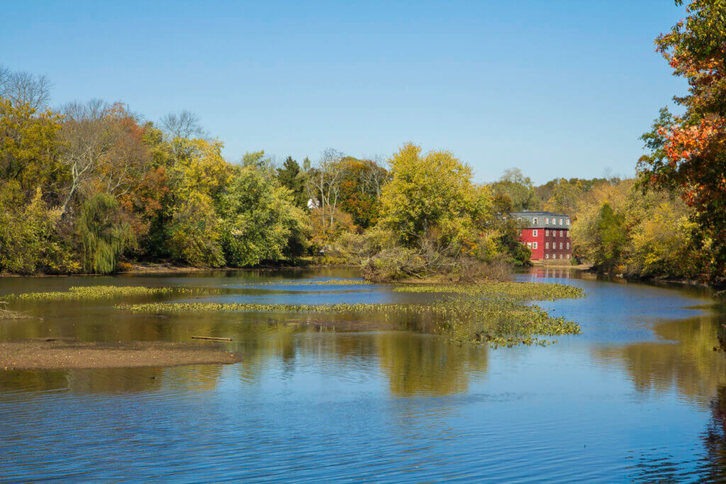 Princeton